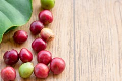 Fermez-vous vers le haut des grains de café frais sur la table en bois Image stock Fermez-vous vers le haut des grains de café frais sur la table en bois Image stock