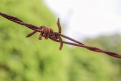 Fermez-vous vers le haut du barbelé rouillé et grunge images stock Fermez-vous vers le haut du barbelé rouillé et grunge images stock