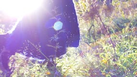Fermez-vous vers le haut du tir d'une belle jambe du ` s de jeune femme marchant dans l'herbe Mouvement lent clips vidéos Fermez-vous vers le haut du tir d'une belle jambe du ` s de jeune femme marchant dans l'herbe Mouvement lent clips vidéos