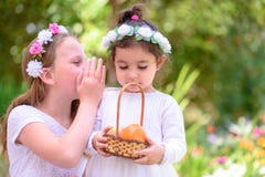 Festa ebrea Shavuot Le bambine di HarvestTwo in vestito bianco tiene un canestro con frutta fresca in un giardino dell'estate fotografie stock Festa ebrea Shavuot Le bambine di HarvestTwo in vestito bianco tiene un canestro con frutta fresca in un giardino dell'estate fotografie stock