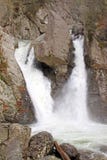 A festança Bish cai na mola, MUITAS limita imagens de stock A festança Bish cai na mola, MUITAS limita imagens de stock
