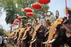 Festival do elefante de Thrissur fotografia de stock royalty free Festival do elefante de Thrissur fotografia de stock royalty free