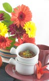 Festive Chili Beans Stock Image Festive Chili Beans Stock Image
