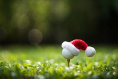 Festive-looking golf ball on tee with Santa Claus` hat