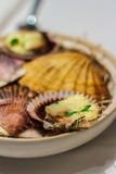 Feston frais grillé sur Shell et le citron sur la vue de côté de plat image libre de droits Feston frais grillé sur Shell et le citron sur la vue de côté de plat image libre de droits