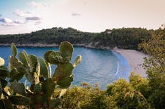 Fetovaia Beach, Elba Island, Tuscany, Italy stock image Fetovaia Beach, Elba Island, Tuscany, Italy stock image