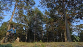Fettes Fahrrad nannte auch fatbike oder Fettreifenfahrrad im Sommerreiten im Wald stock footage Fettes Fahrrad nannte auch fatbike oder Fettreifenfahrrad im Sommerreiten im Wald stock footage