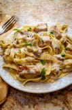 Fettuccine Alfredo Grilled Chicken royalty-vrije stock foto's Fettuccine Alfredo Grilled Chicken royalty-vrije stock foto's