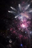 feuerwerk lizenzfreies stockbild feuerwerk lizenzfreies stockbild