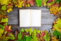 Feuilles d'automne et vieux livre sur la table image libre de droits Feuilles d'automne et vieux livre sur la table image libre de droits