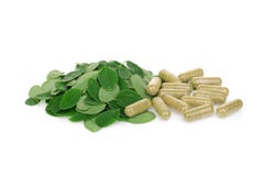 Feuilles de Moringa avec des capsules sur le blanc photographie stock Feuilles de Moringa avec des capsules sur le blanc photographie stock
