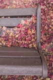 Feuilles sèches d'automne et une chaise vide en bois photographie stock Feuilles sèches d'automne et une chaise vide en bois photographie stock