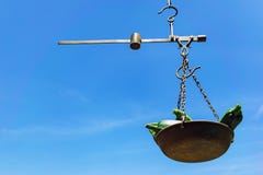 Few dojrzały szpika kostnego kabaczka Zucchini obwieszenie na rocznika mechanika rynku skali zdjęcie stock Few dojrzały szpika kostnego kabaczka Zucchini obwieszenie na rocznika mechanika rynku skali zdjęcie stock