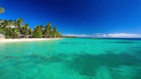 Few palm trees over tropical lagoon