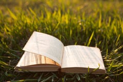 CÂU THƠ Ffnen-sie-buch-auf-gras-47925746
