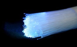 Fiber Optic Computer Cables Stock Images