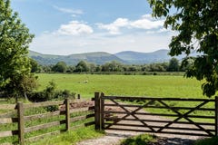 Lake District field. royalty free stock images Lake District field. royalty free stock images