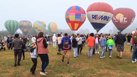 A field full of colorful hot air balloons on a misty day royalty free stock photo A field full of colorful hot air balloons on a misty day royalty free stock photo