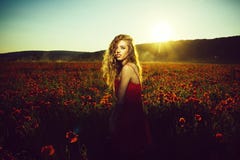 Field of poppy seed with woman stock photos Field of poppy seed with woman stock photos