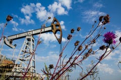 Field weeds and oil pump royalty free stock image Field weeds and oil pump royalty free stock image