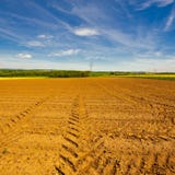 fields stockfotos fields stockfotos
