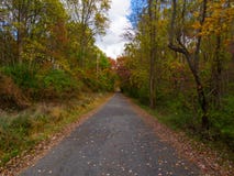 Fietsweg, Concrete Weg door Autumn Forest royalty-vrije stock afbeelding Fietsweg, Concrete Weg door Autumn Forest royalty-vrije stock afbeelding