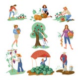 Fije de la gente que recoge la comida natural del eco de jardín ilustración del vector Fije de la gente que recoge la comida natural del eco de jardín ilustración del vector
