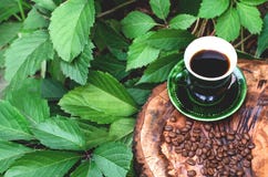 Filiżanka kawy z adra na naturze zdjęcie stock Filiżanka kawy z adra na naturze zdjęcie stock