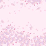 filialmodellsakura seamless vektor Royaltyfri Fotografi filialmodellsakura seamless vektor Royaltyfri Fotografi