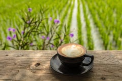 Filiżanka Cappuccino na stole przy otwarty teren kawiarnią na krawędzi ryżowego irlandczyka, Umalas, Bali wyspa, Indonezja obrazy royalty free Filiżanka Cappuccino na stole przy otwarty teren kawiarnią na krawędzi ryżowego irlandczyka, Umalas, Bali wyspa, Indonezja obrazy royalty free
