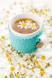 Filiżanka chamomile herbata fotografia stock Filiżanka chamomile herbata fotografia stock