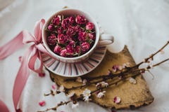 Filiżanka z spodeczkiem wypełniającym z różami i różowym łękiem zdjęcia royalty free Filiżanka z spodeczkiem wypełniającym z różami i różowym łękiem zdjęcia royalty free