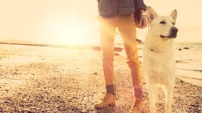 Fille de hippie jouant avec le chien à une plage pendant le coucher du soleil, effet fort de fusée de lentille Fille de hippie jouant avec le chien à une plage pendant le coucher du soleil, effet fort de fusée de lentille
