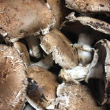 Filled image of portobello mushrooms stock photos Filled image of portobello mushrooms stock photos