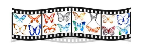 Film With Bright Metal Butterfly Isolated On White Royalty Free Stock Photography