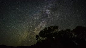 Filmclip 4k Timelapse von beweglichen Sternspuren im nächtlichen Himmel Die Milchstraßegalaxie, die über die Bäume im Sommer sich stock video Filmclip 4k Timelapse von beweglichen Sternspuren im nächtlichen Himmel Die Milchstraßegalaxie, die über die Bäume im Sommer sich stock video