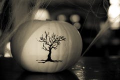 Fin blanche de décoration de courge de Halloween de concept image stock Fin blanche de décoration de courge de Halloween de concept image stock