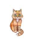 Fin d'aquarelle vers le haut de portrait du chat rouge de bande dessinée d'isolement sur le fond blanc illustration stock Fin d'aquarelle vers le haut de portrait du chat rouge de bande dessinée d'isolement sur le fond blanc illustration stock