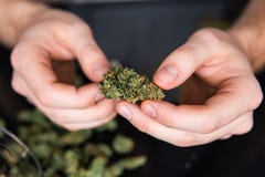 Fin vers le haut Fermez-vous de l'intoxiqué allumant le joint de marijuana avec l'allumeur Dope le concept narcotique Homme roula photographie stock Fin vers le haut Fermez-vous de l'intoxiqué allumant le joint de marijuana avec l'allumeur Dope le concept narcotique Homme roula photographie stock