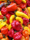 Fin vibrante de plein cadre des poivrons mélangés colorés lumineux de variété aux nuances de rouge, d'orange et de jaune images stock Fin vibrante de plein cadre des poivrons mélangés colorés lumineux de variété aux nuances de rouge, d'orange et de jaune images stock