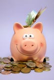 Finans räddningpengar, konto, bankrörelse som ler den rosa spargrisen som omges av mynt royaltyfri foto Finans räddningpengar, konto, bankrörelse som ler den rosa spargrisen som omges av mynt royaltyfri foto