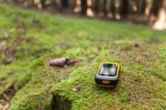 Finding The Right Position In The Forest With A Gps Stock Photography