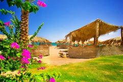 Fine Flowers And Exotic Beach. Stock Image Fine Flowers And Exotic Beach. Stock Image