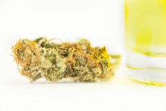 fine medica della marijuana della cannabis asciutta sul germoglio fotografia stock libera da diritti fine medica della marijuana della cannabis asciutta sul germoglio fotografia stock libera da diritti