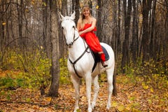 Fine Young Woman On Horseback On White Horse Stock Photo