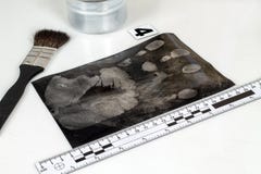 Fingerprint royalty free stock images Fingerprint royalty free stock images