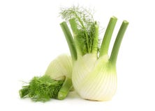 Finocchio Finocchio