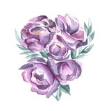 Fio?kowi wiosna kwiaty ilustracja wektor Fio?kowi wiosna kwiaty ilustracja wektor