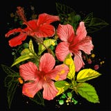 Fiore dell'acquerello di vettore illustrazione vettoriale Fiore dell'acquerello di vettore illustrazione vettoriale