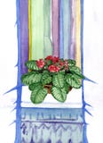 Fiore viola rosso in vaso sul davanzale immagini stock libere da diritti Fiore viola rosso in vaso sul davanzale immagini stock libere da diritti